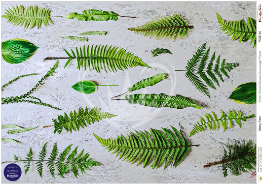 Stony Fern A3 Posh Chalk Deluxe Decoupage from The House of Mendes