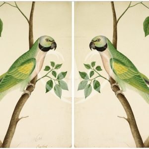 Exotic Parakeets A3 Posh Chalk Deluxe Decoupage from The House of Mendes