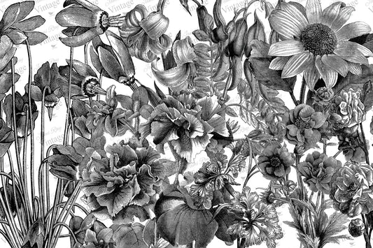 Black and White Floral | JRV Decoupage  Paper 30x20 inch