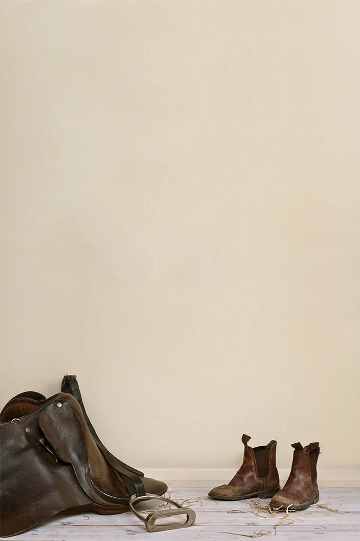 Annie Sloan Wall Paint - Original