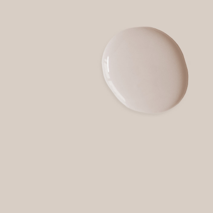 Annie Sloan Satin Paint ® - Pointe Silk