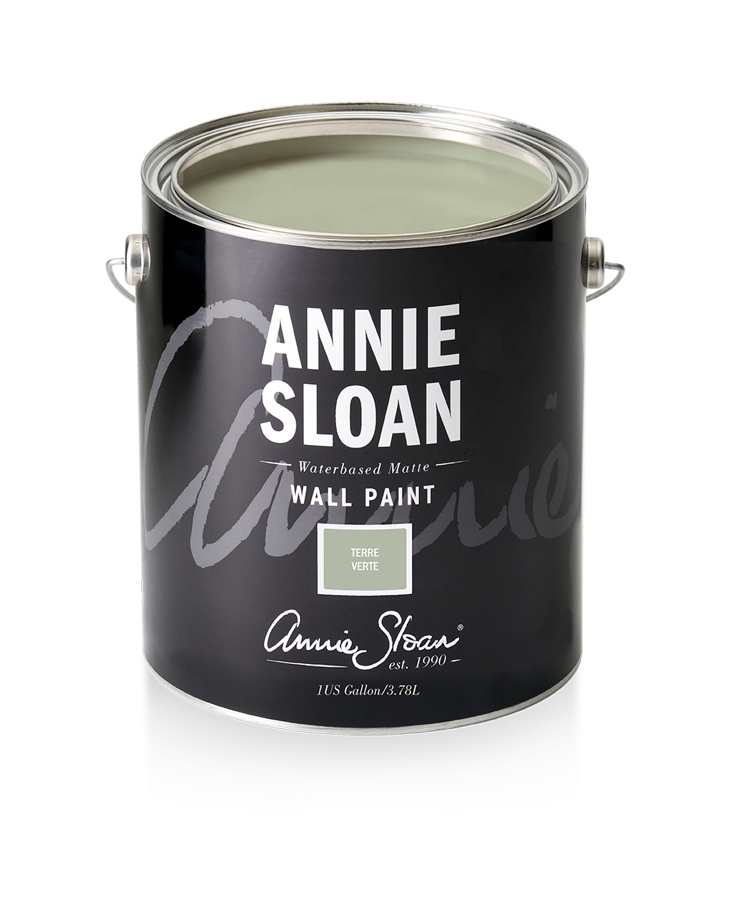 Annie Sloan Wall Paint - Terre Verte