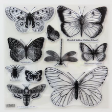 IOD Butterflies 12x12 Decor Stamp™