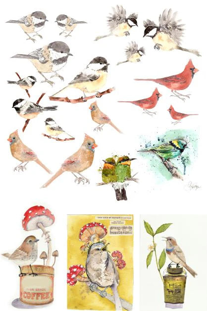 Catalog of Birds Decoupage Paper - Roycycled Treasures