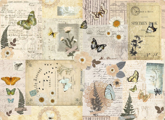 Pressed Flowers - Roycycled Treasures