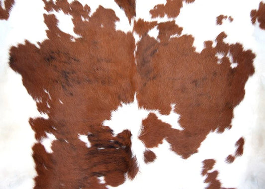 Cowhide Decoupage - Roycycled Treasures