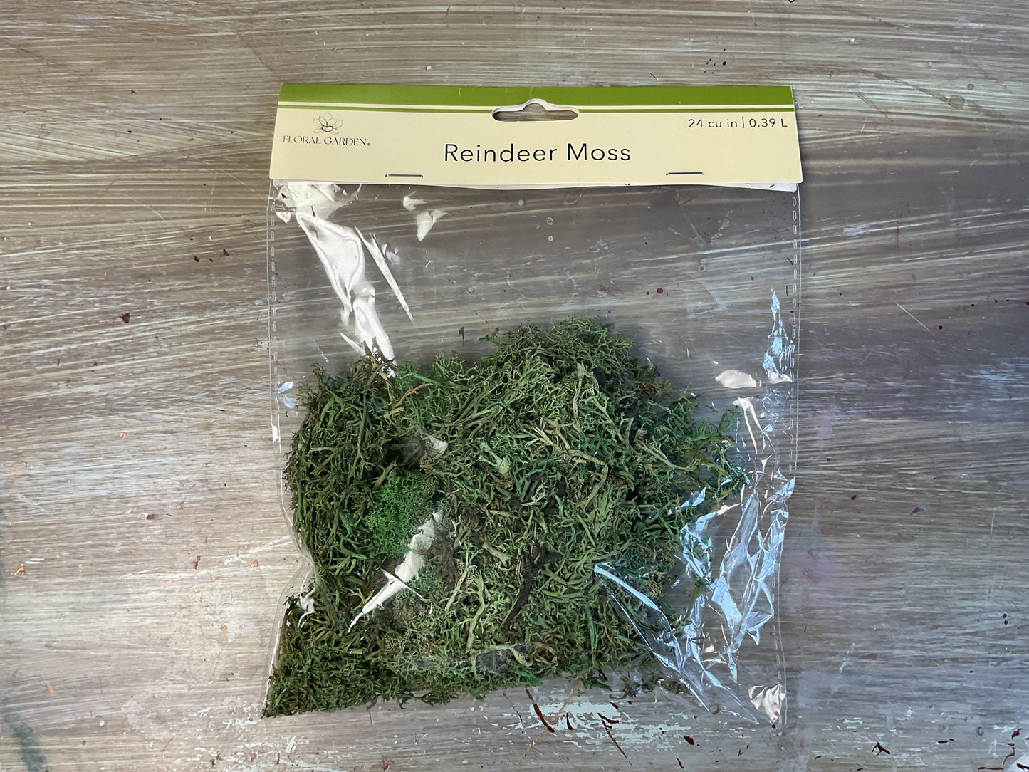 Reindeer Moss