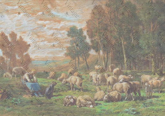 Pastoral Sheep | JRV Rice Paper A4