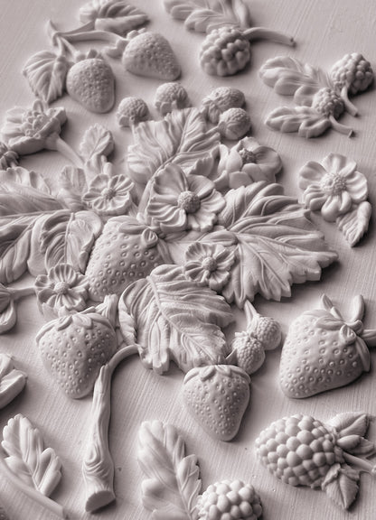 Wild Berries 6x10 IOD Mould™