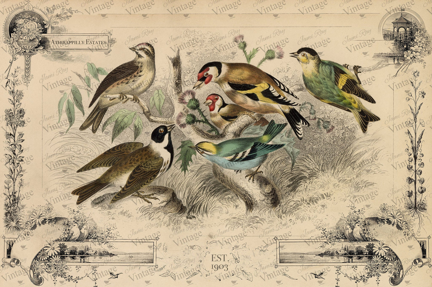 Cottage Birds | JRV Decoupage  Paper 30x20 inch