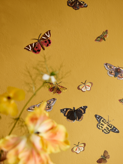 RHS Decoupage  Paper   - Winged Wildlife