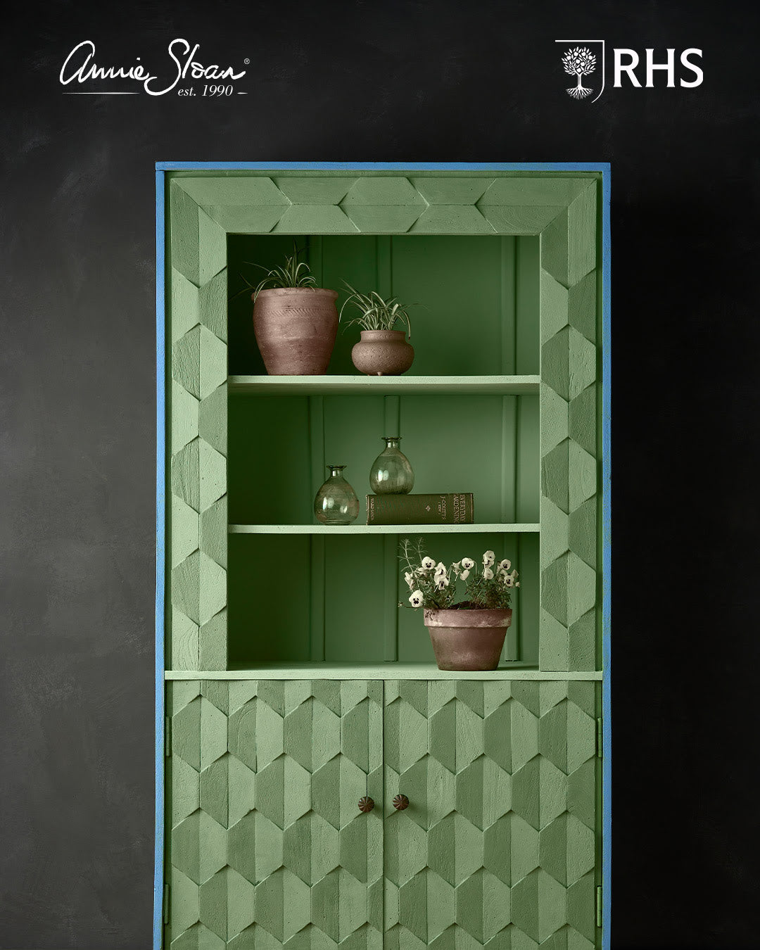 Annie Sloan Chalk Paint: Capability Green