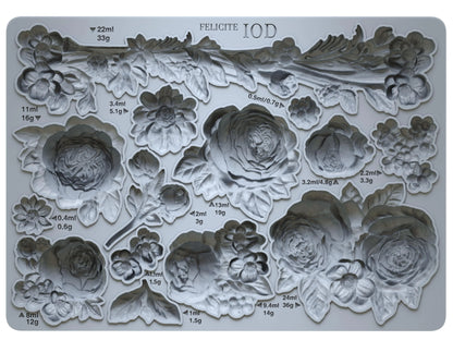 FELICITE 5X7 IOD MOULD™ - Iron Orchid Designs