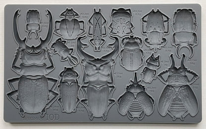 SPECIMENS 6X10 IOD MOULD™