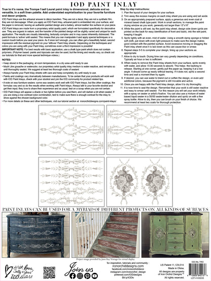 IOD Trompe l’oeil laurel IOD Paint Inlay 12x16 Pad™