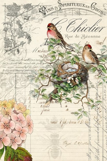 Bird Ephemera - Roycycled Treasures