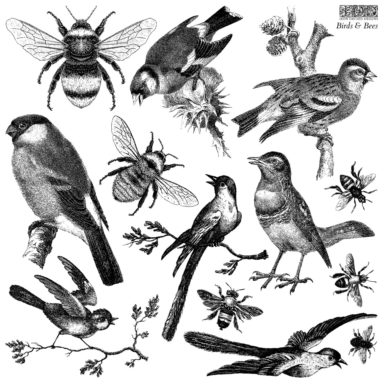 IOD Birds & Bees 12x12 IOD Stamp™