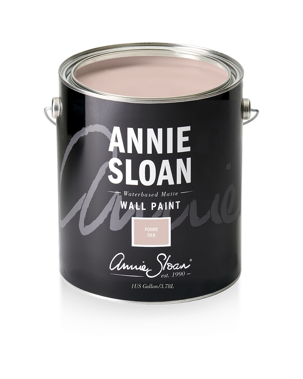 Annie Sloan Wall Paint - Ponte Silk