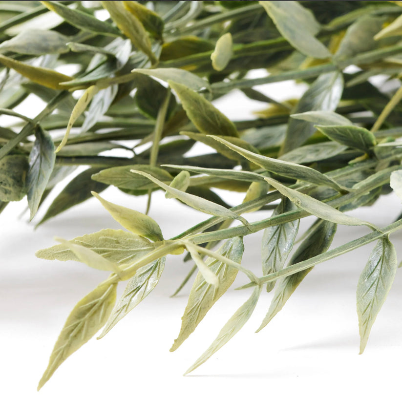 Italian Ruscus stem Artificial Greenery - 14 inches – The Stilwell House