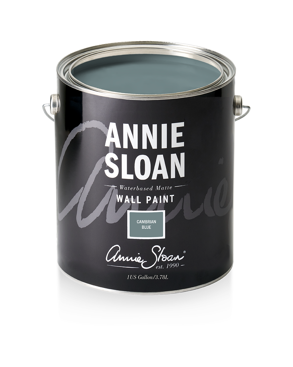 Annie Sloan Wall Paint - Cambrian Blue