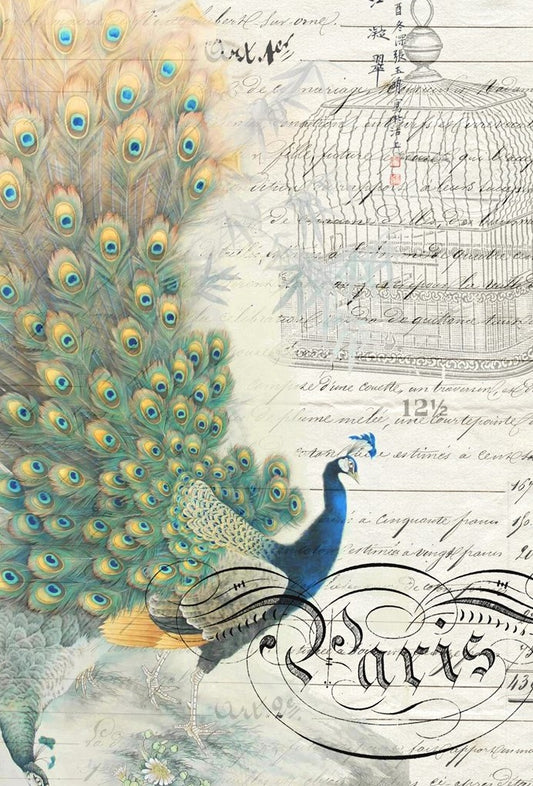 Peacock Ephemera Left 20x30 Decoupage  - Roycycled Treasures