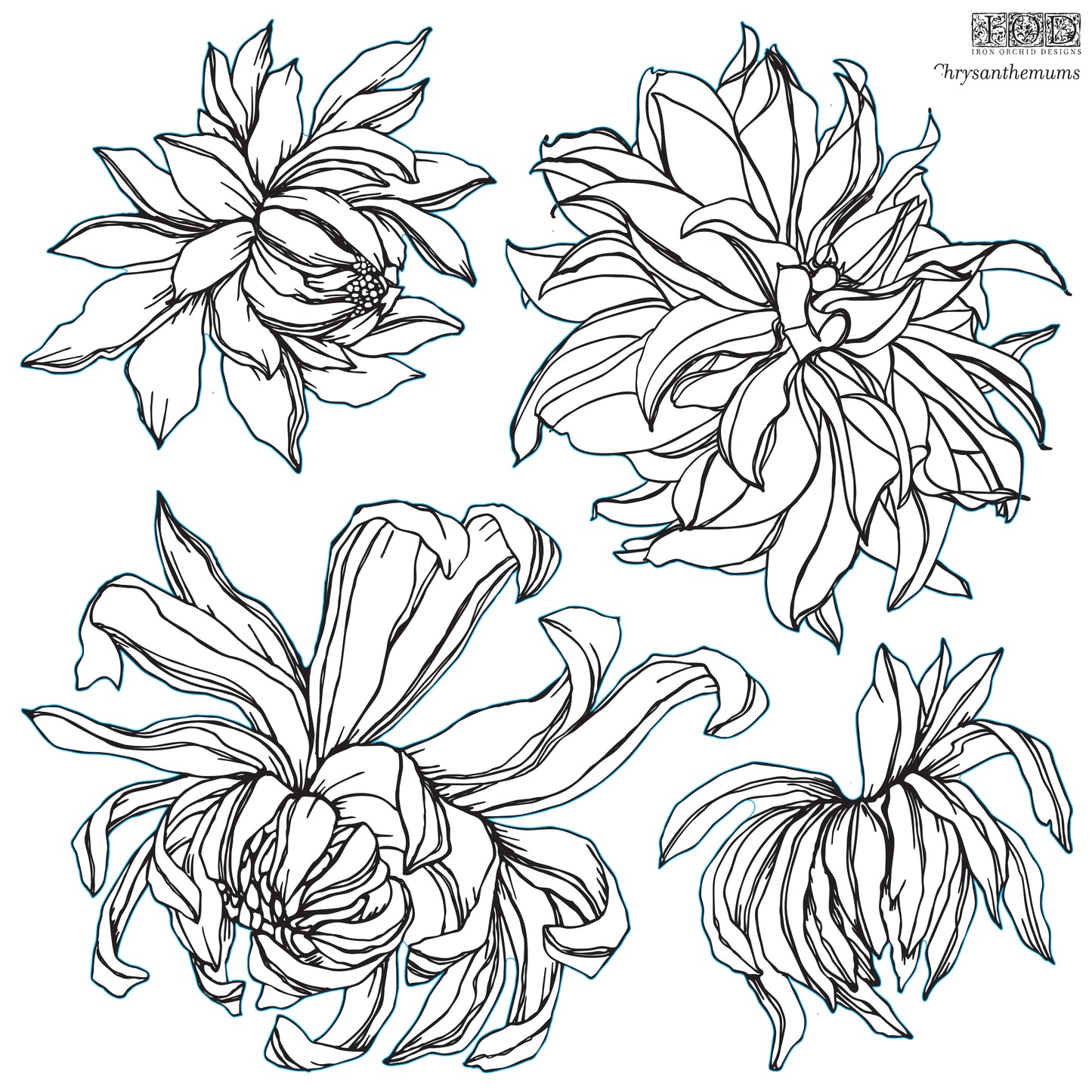 IOD Chrysanthemum 12×12 IOD Stamp™