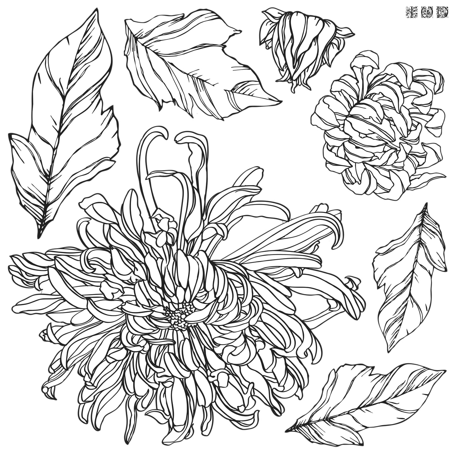 IOD Chrysanthemum 12×12 IOD Stamp™