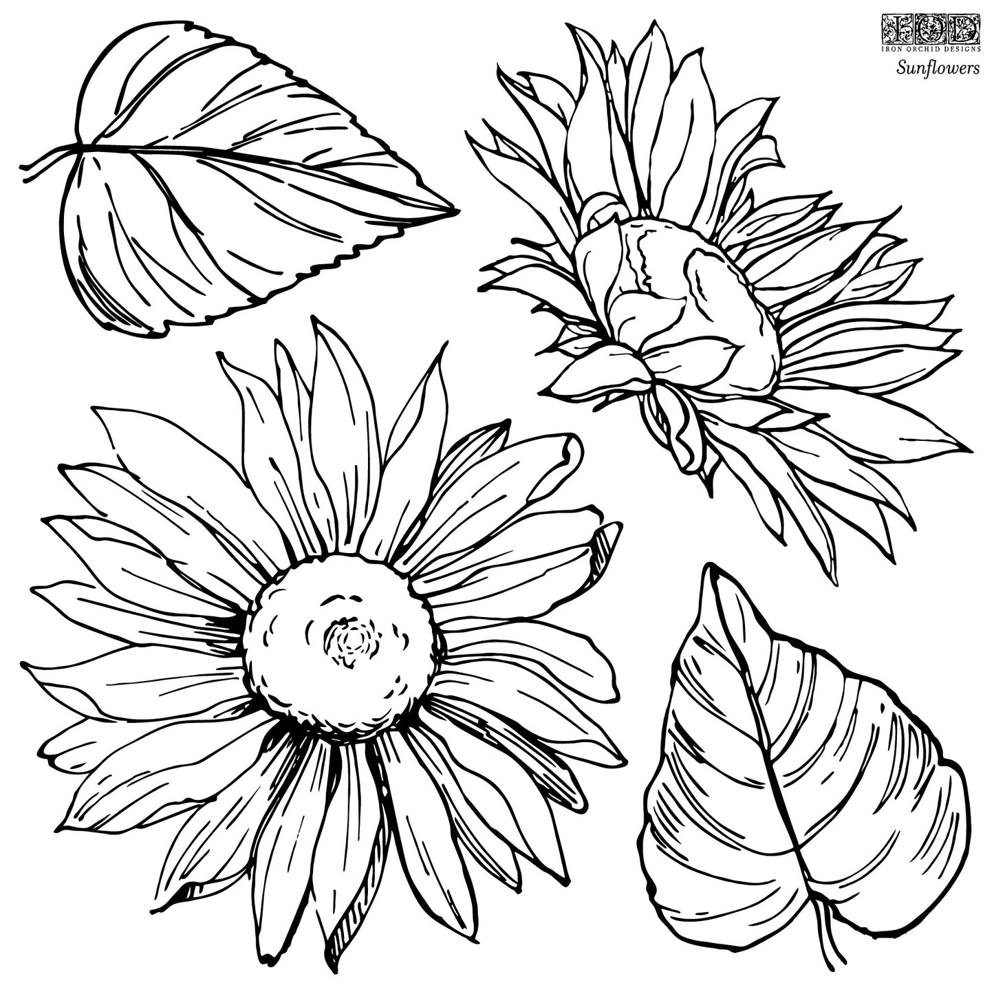 IOD Sunflowers 12x12 IOD Stamp™