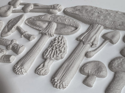 IOD Toadstool 6X10 IOD Mould™