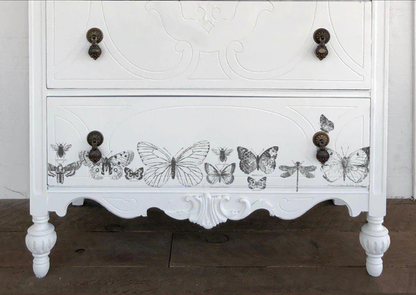 IOD Butterflies 12x12 Decor Stamp™